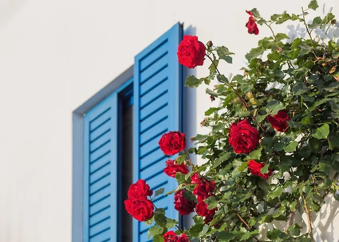 Venti Seaside Adult 4*