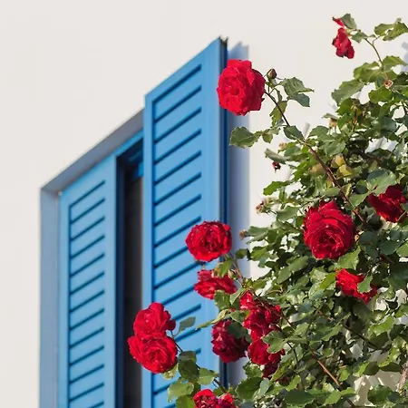 Venti Seaside Adult 4*